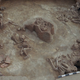 Fourteen skeletons of victims killed by earthquake at Cave dwelling F4 at Lajiia site excavated in 2000. (Image: Cai Linhai)